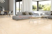 Gạch Ốp Lát APODIO 66222013